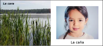 Est-ce vrai ou faux ?