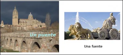 Est-ce vrai ou faux ?