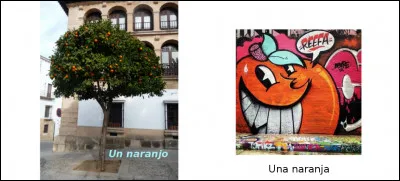 Est-ce vrai ou faux ?