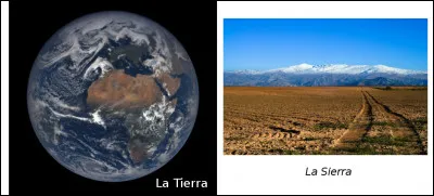 Est-ce vrai ou faux ?