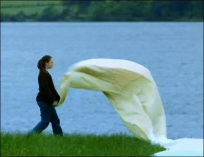 28 jours plus tard, le trio s'est rfugi  la campagne. Quel mot crivent-ils sur l'herbe avec des draps pour tre vus du ciel ?