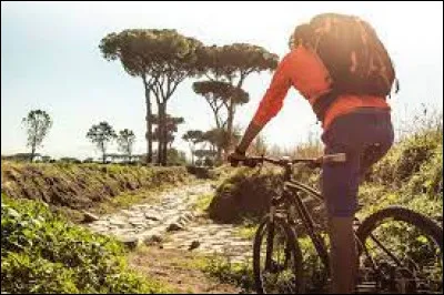 Le type de tourisme qui vous attire actuellement...