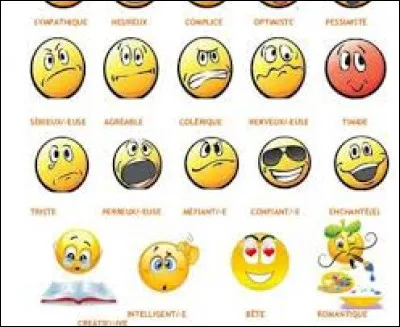 Quelle phrase te décrit le mieux ?