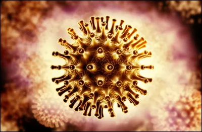 Le sida est une maladie sexuellement transmissible.