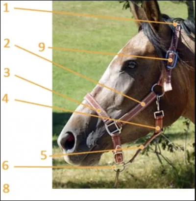 Quelle est la bonne réponse ?