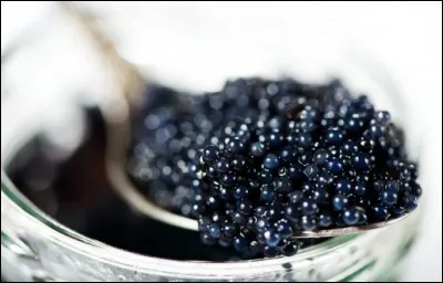 Les ufs de quel poisson produisent-ils le caviar ?