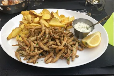 Que choisirez-vous pour faire une petite friture ?