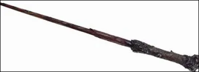 Chez qui Harry va-t-il acheter sa première baguette ?