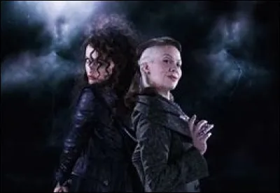 Quel lien de sang ont Narcissa Malefoy et Bellatrix Lestrange ?