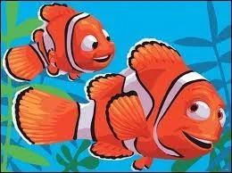 Comment s'appelle ce petit poisson, handicap par une nageoire atrophi, et qui va  ses dpends, dcouvrir le rude monde aquatique. ? ...