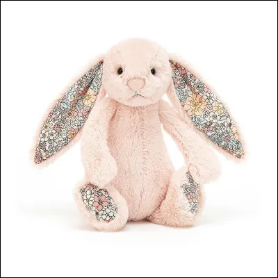Quel artiste a été déguisé en lapin rose lors de son bizutage en 2012 ?