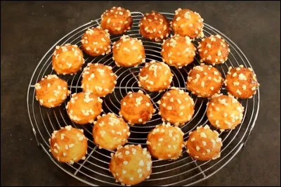 Karl Lagerfeld avait une chatte sacrée de Birmanie. Il l'avait appelée...