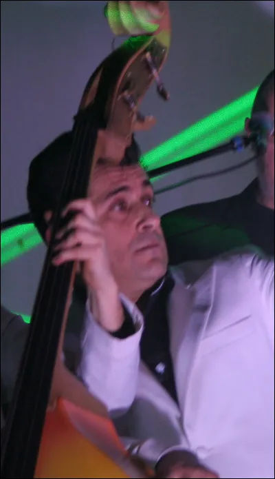 Quel nom portait le célèbre chat de Louis-Ferdinand Céline ?