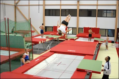 En quelle année le trampoline est-il devenu une discipline olympique ?