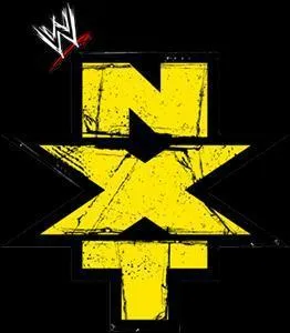 Combien y-a-t-il de Rookie  la NXT ?