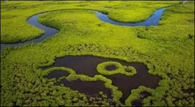 Dans quel pays se situe la région "Casamance" ?