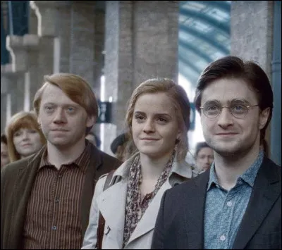 Adulte, quel métier Hermione exerce-t-elle ?