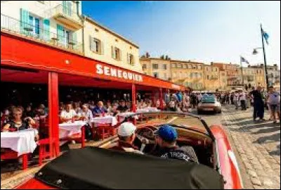 Où se trouve le célèbre café Sénéquier ?