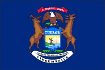 Dans l'État du Michigan, de quelle partie du corps de la femme, le mari en est-il le propriétaire ?