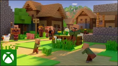 Que signifie "PNJ" ?