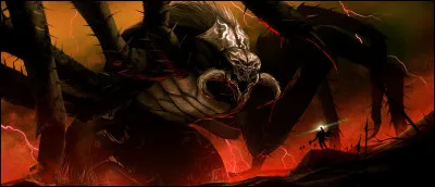 Comment s'appelle cette araignée ?