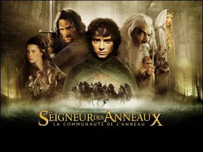 Quand le Seigneur des anneaux 1 est-il sorti en France ?
