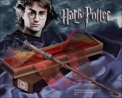 Que contient la baguette de Harry potter ?