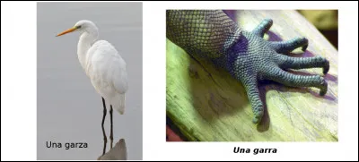 Est-ce vrai ou faux ?