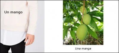 Est-ce vrai ou faux ?