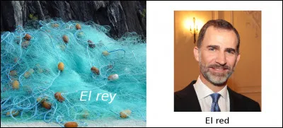 Est-ce vrai ou faux ?