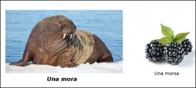 Est-ce vrai ou faux ?