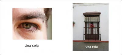 Est-ce vrai ou faux ?