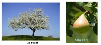 Est-ce vrai ou faux ?