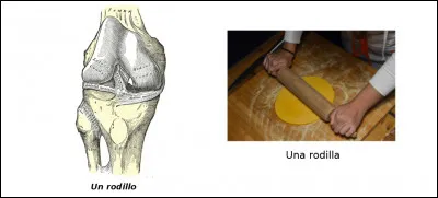 Est-ce vrai ou faux ?