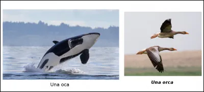 Est-ce vrai ou faux ?