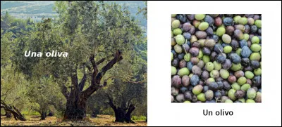 Est-ce vrai ou faux ?