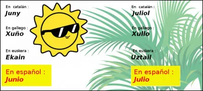 Est-ce vrai ou faux ?