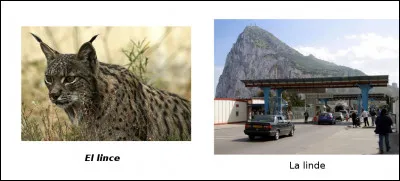 Est-ce vrai ou faux ?