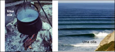 Est-ce vrai ou faux ?