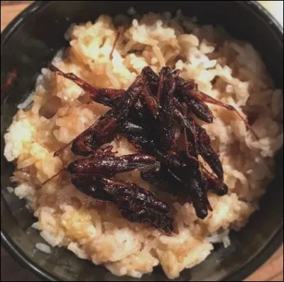 Pour lui changer les idées, annoncez-lui que cette salade lui rappellera les contes de son enfance : Pinocchio et Jiminy ...