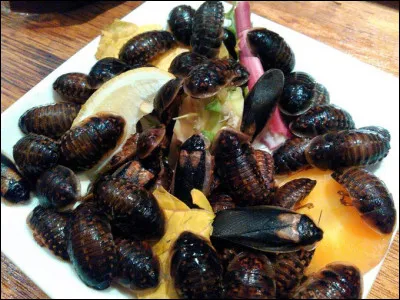 Et si elle a un tout petit peu le mal du pays, c'est le moment d'enfoncer le clou : soignez son spleen par ...