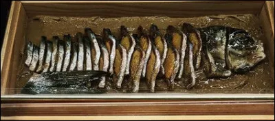 Toujours prévenant, vous songez à son régime hypocalorique et proposez ce joli poissonnet, plat de luxe paré à merveille ! Précisez-lui tout de même, en toute galanterie, que/qu'...