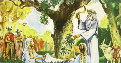 Que cueillaient régulièrement les druides avec leur serpe ?