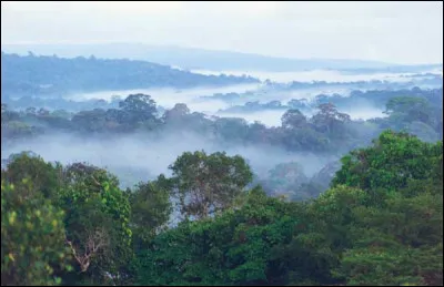 Quel département est le plus boisé avec 83 000 km2 de forêts ?