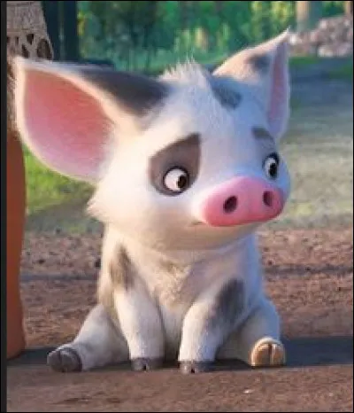 "Vaiana" : J'ai beau dire je reste, je ne partirai pas...