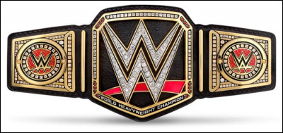 Qui a le titre du WWE Champion ?