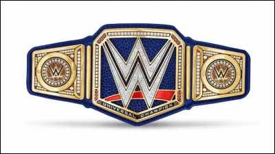 Qui a le titre du WWE Universal Champion ?