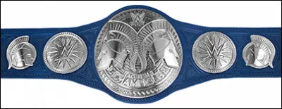 Quels catcheurs sont les champions Tag Team à SmackDown ?