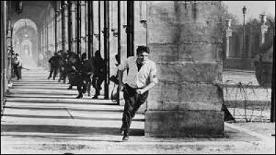 Qui a joué dans "Paris brûle-t-il ?" ?