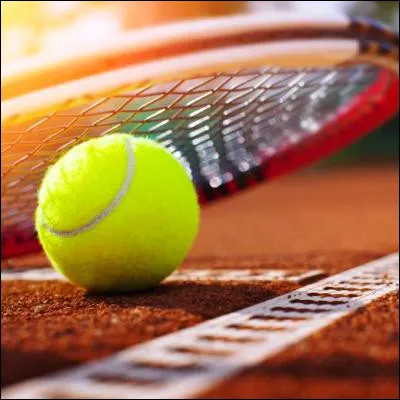 Qui est le premier joueur de tennis &agrave; avoir fini une saison en t&ecirc;te du classement ATP ?